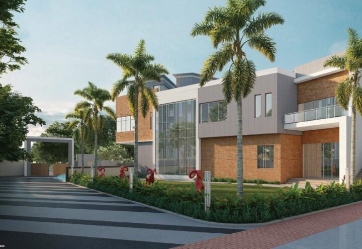 DTC Palm Grove photo 2