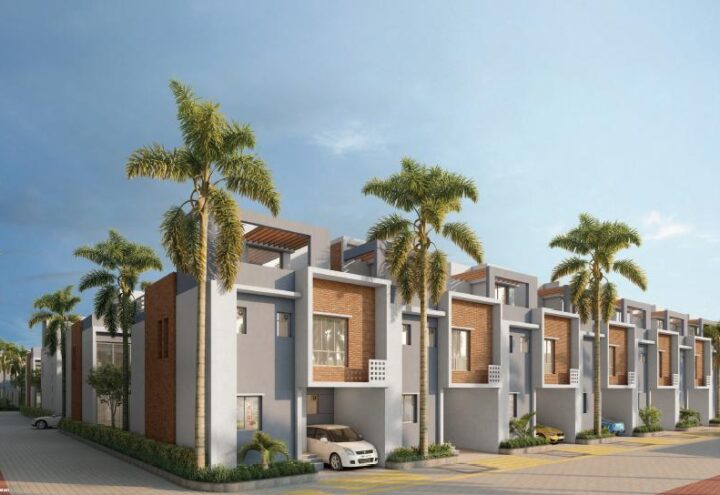 DTC Palm Grove photo 3