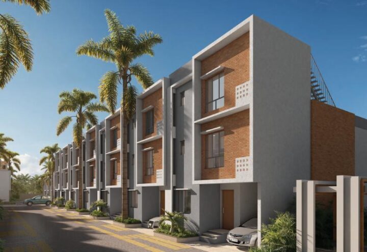 DTC Palm Grove photo 5